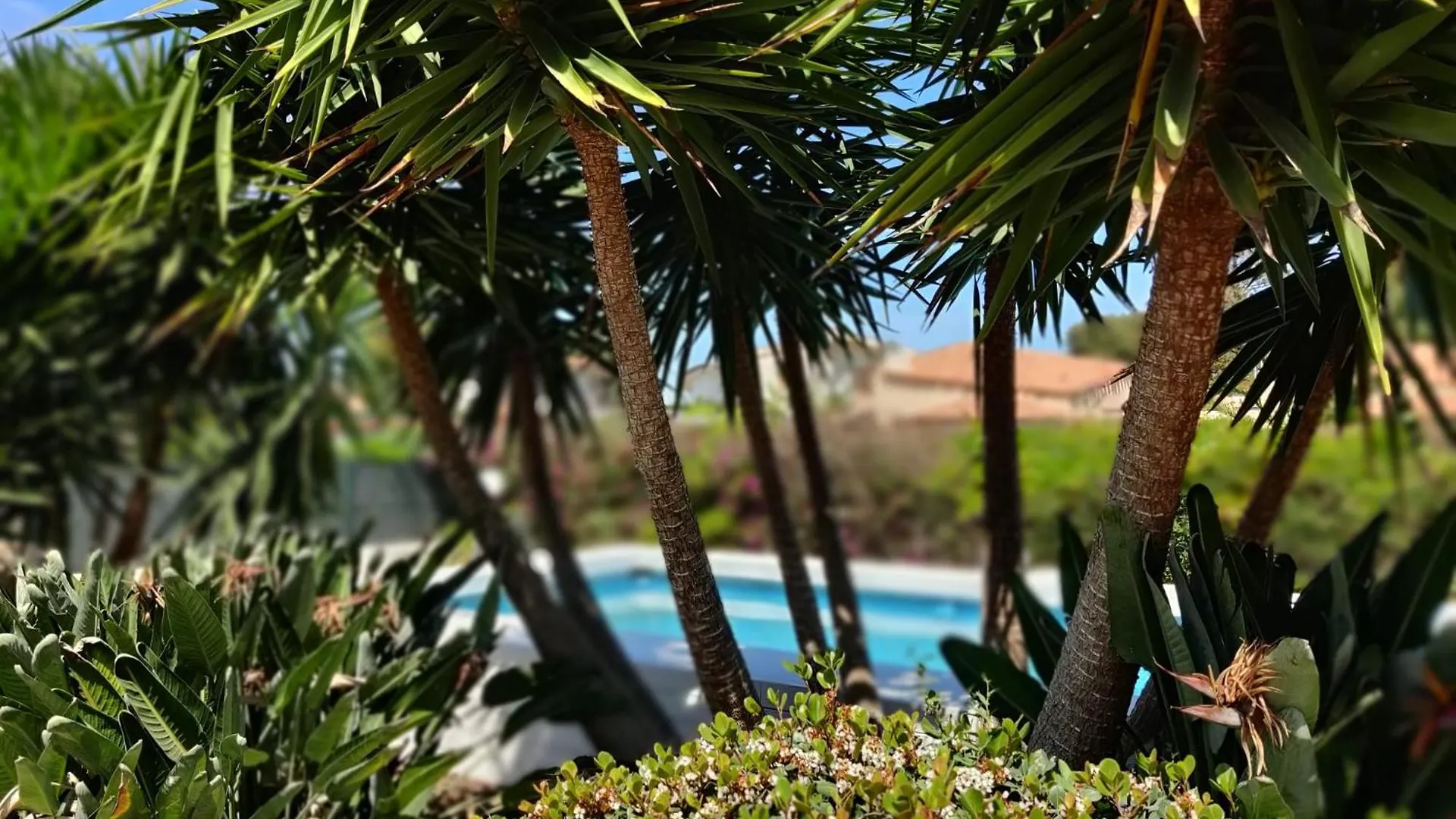 Pool Seaside Relais - Ville Ninfea, Marea, Rosa E Cassiopea Fontane Bianche